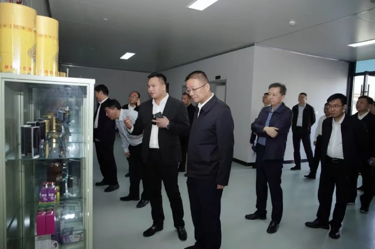 湖北省黄石市委副书记、市长吴之凌率队调研携康产业园